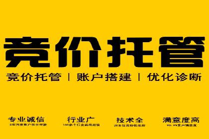 电商平台的关键词竞价排名：销售增长的秘诀